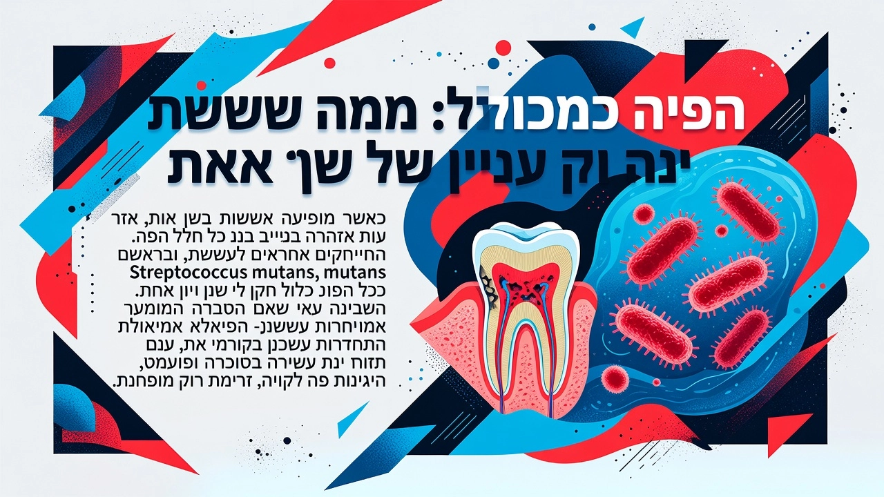 עששת שיניים: מגורמים ושלבים ועד טיפול ומניעה השתלות שיניים ביום אחד שיקום פה ואסתטיקה דנטלית השתלות שיניים ביום אחד שיקום פה ואסתטיקה דנטלית עששת שיניים: מגורמים ושלבים ועד טיפול ומניעה